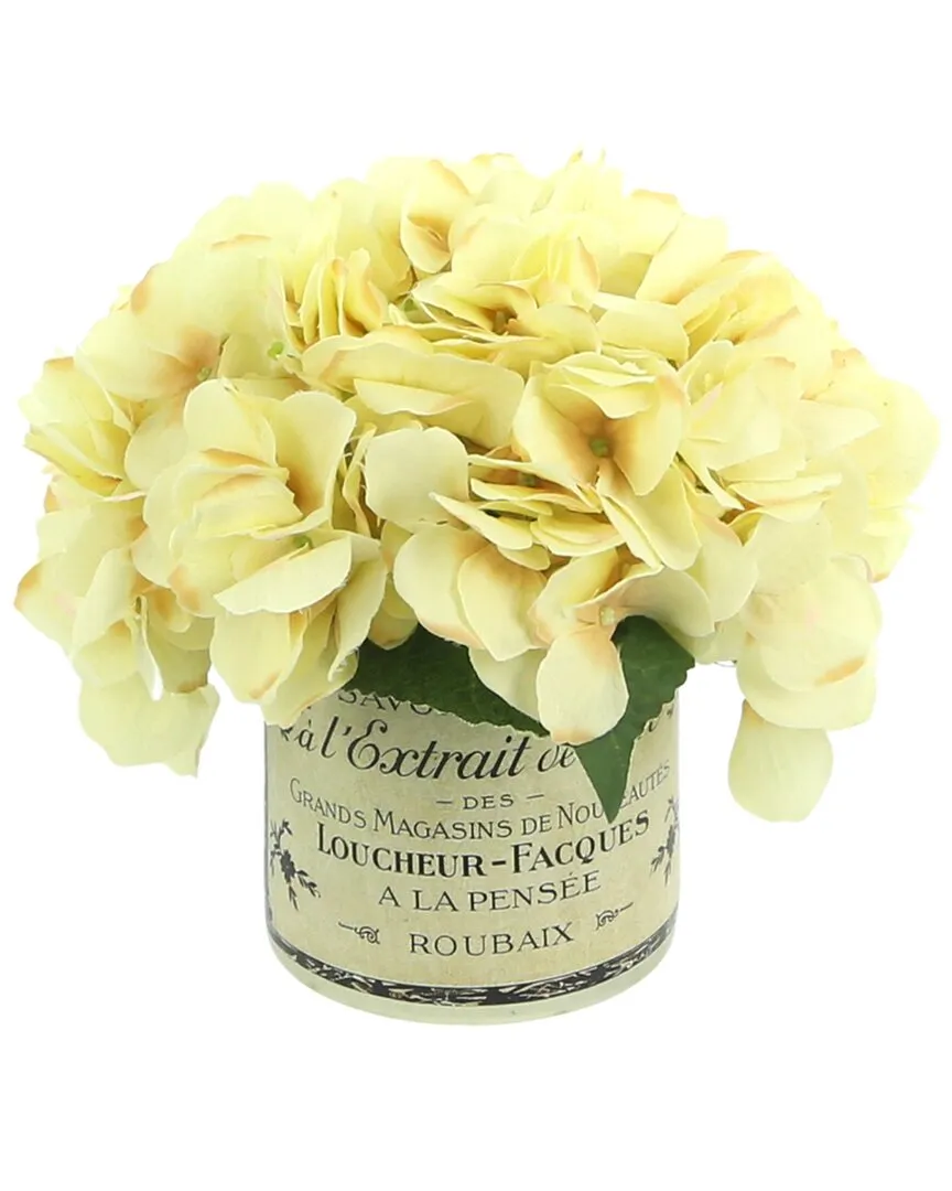 Cream Hydrangeas in French Labeled Glass Vase - Cream image