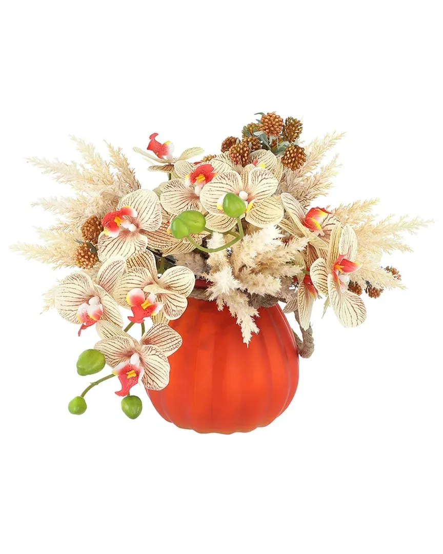 Fall Arrangement with Cream Orchids & Pampas - Brown image