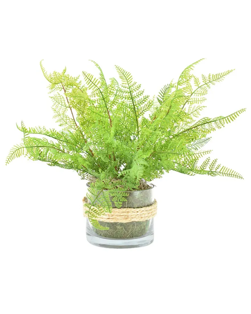 Green Fern Bush Arrangement image