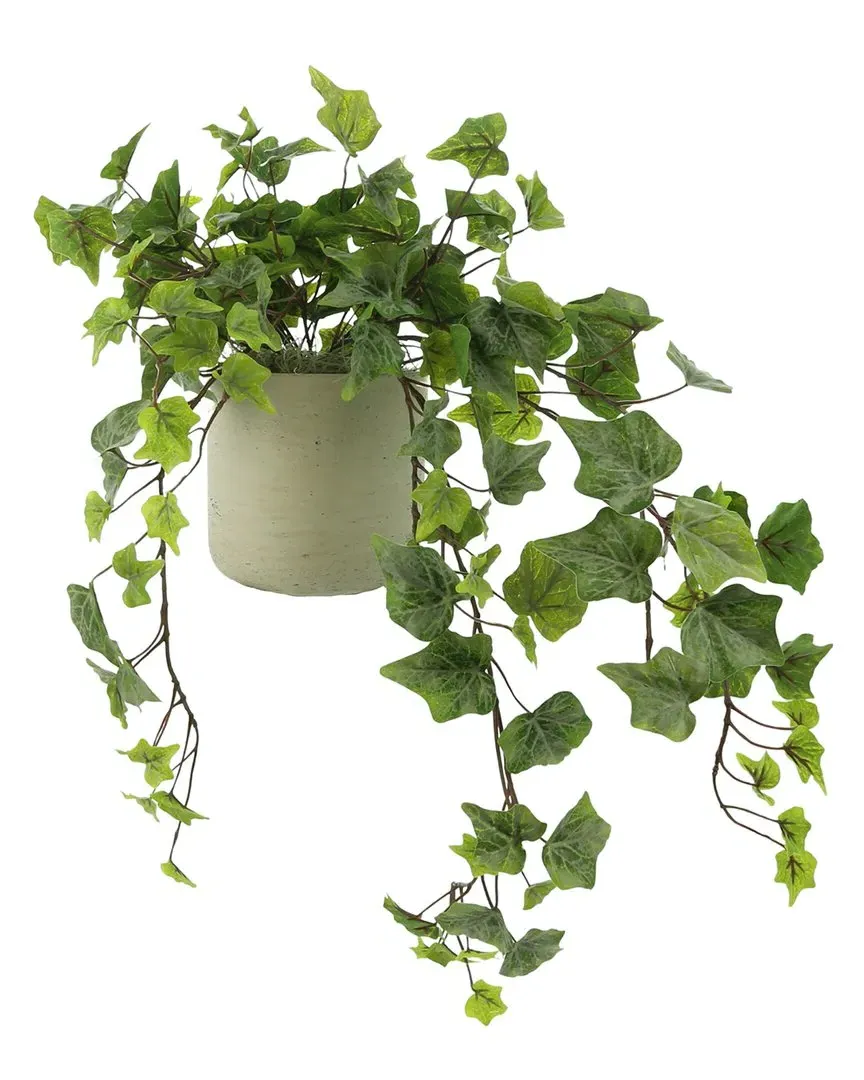 Green Ivy in Gray Pot - Green, Fiberstone image