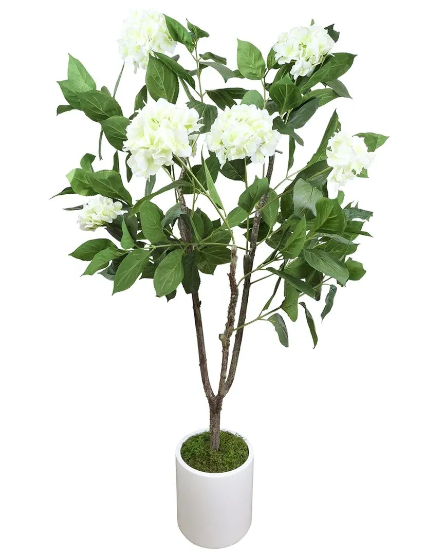 Hydrangea Tree in Fiberstone Pot - White image