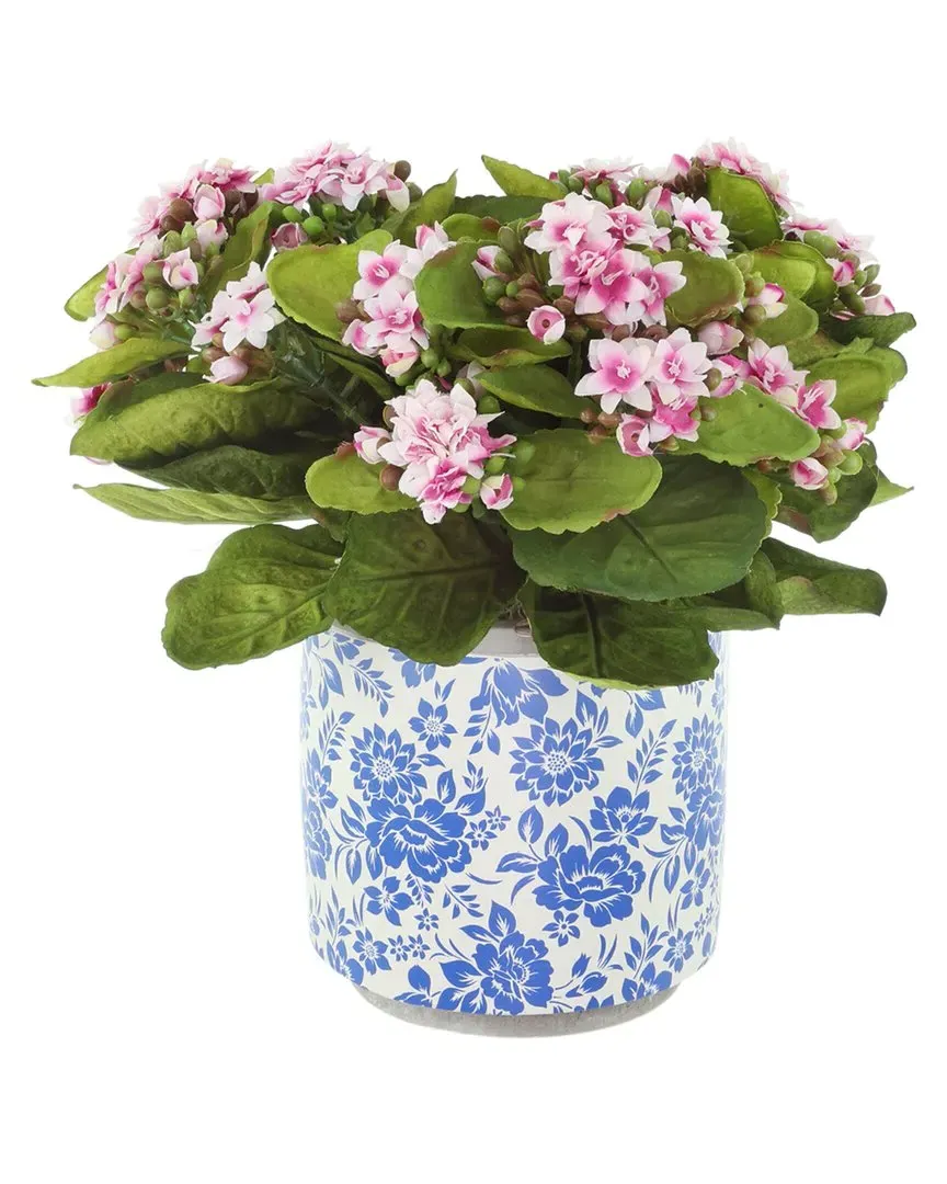 Kalanchoes Artificial Plant in Ceramic Pot - Blue, White image