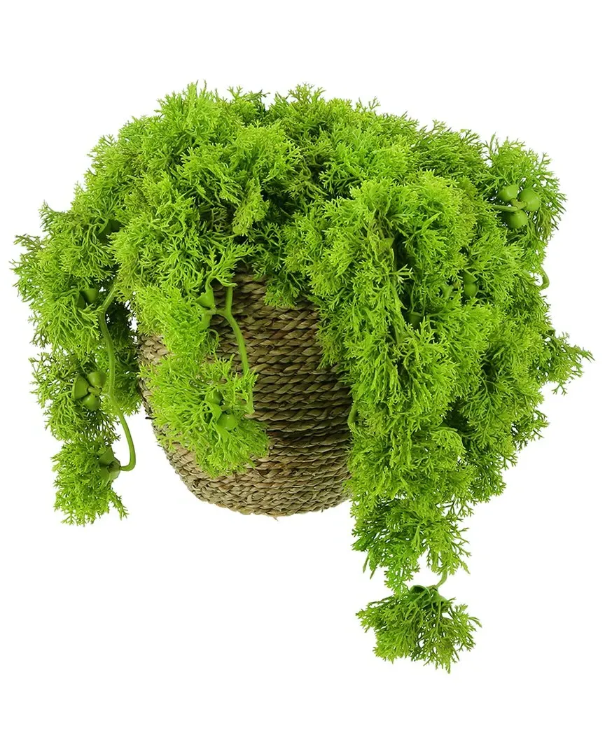 Moss Arrangement in Rope Pot - Green, Fiberstone