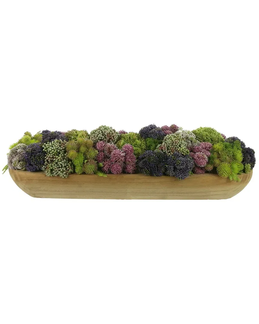Multicolor Sedum Floral Display - Green, Wood