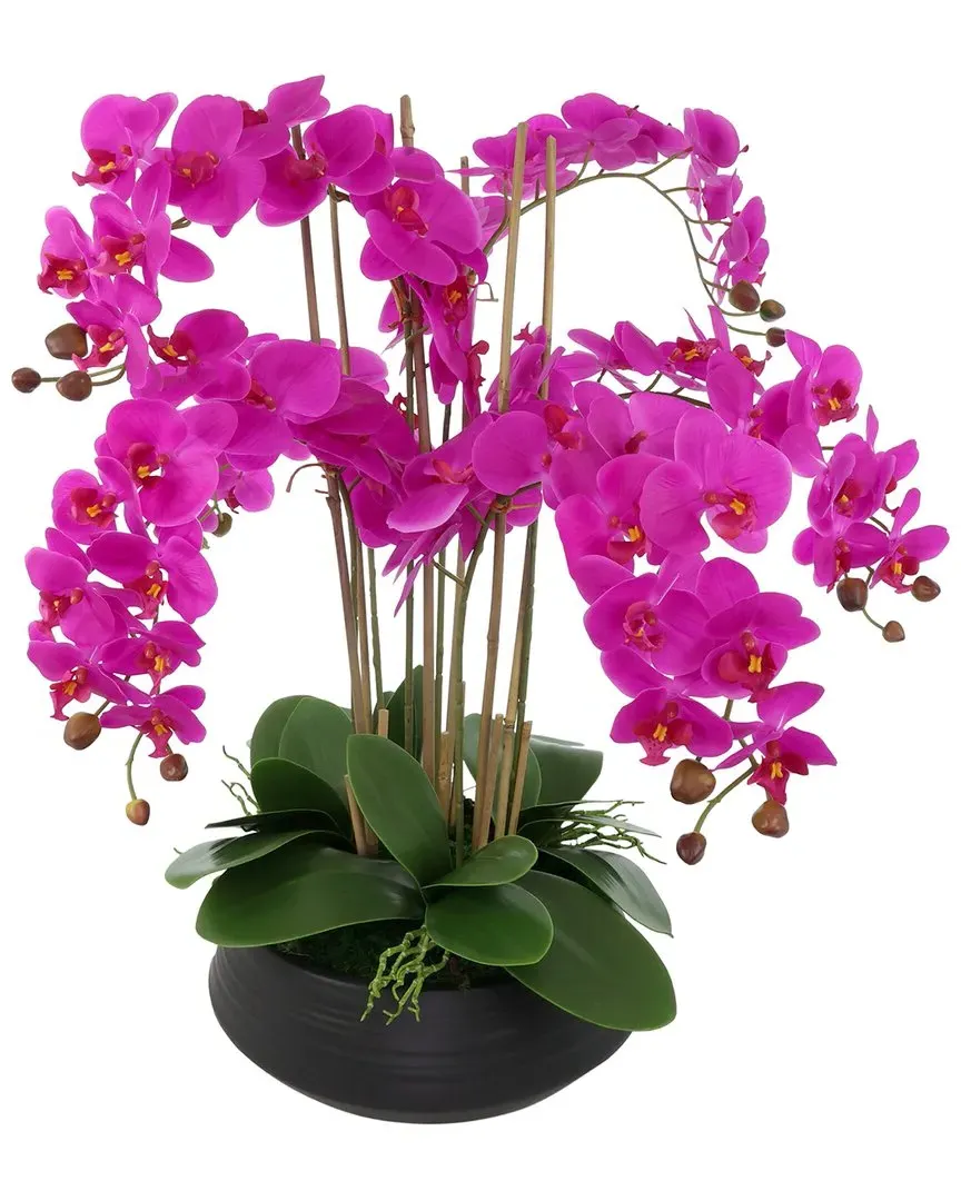 Orchid Centerpiece in Ceramic Pot - Pink, Black