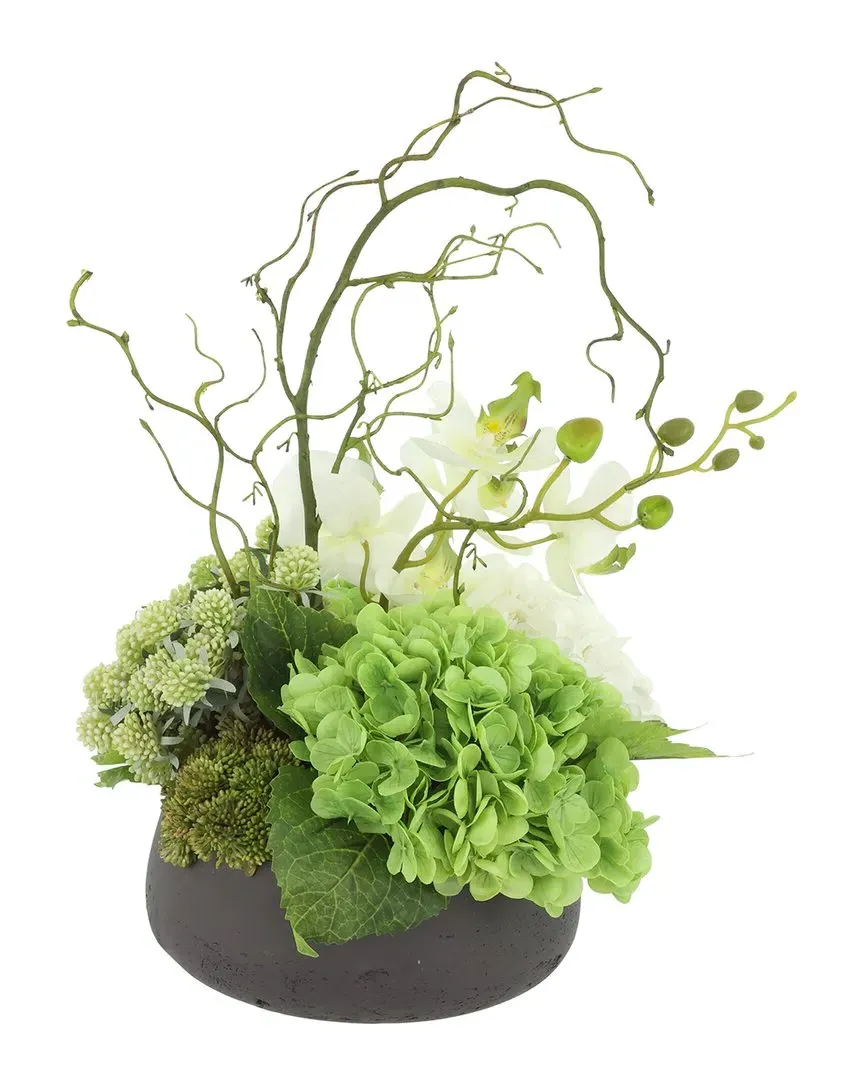Orchid & Hydrangea Arrangement - Black Fiberstone Pot image