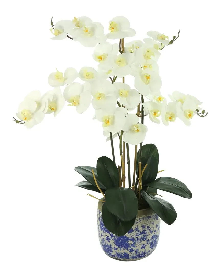 Orchids Floral Arrangement in Ceramic Vase - White