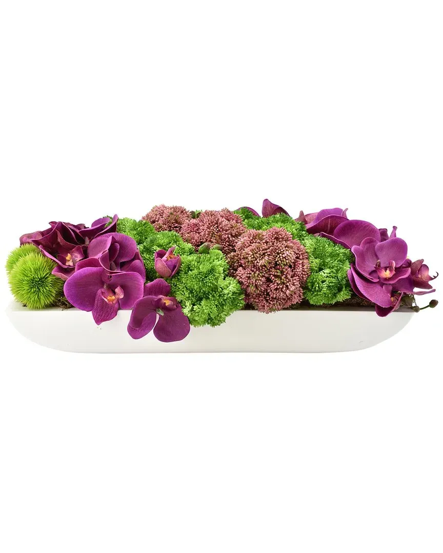 Orchids & Succulents in Oblong Planter - Purple image