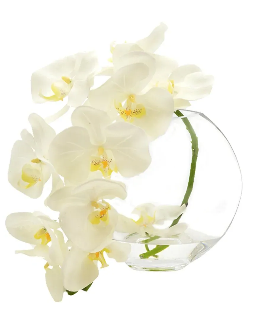 Round White Orchid Floral Arrangement - White, Glass