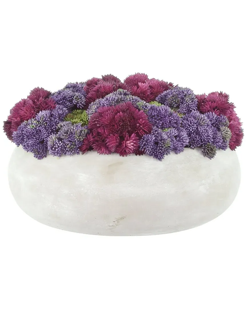 Sedum Stone Planter Arrangement - Purple, Stone