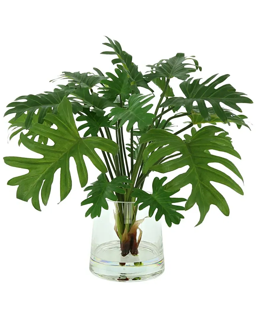 Split Philo Leaf Floral Arrangement - Green