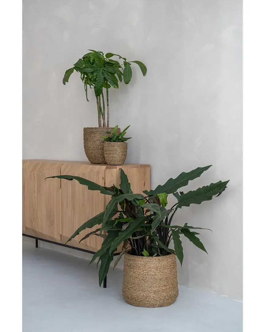 Straw Grass-Wrapped Cement Pot - Beige image