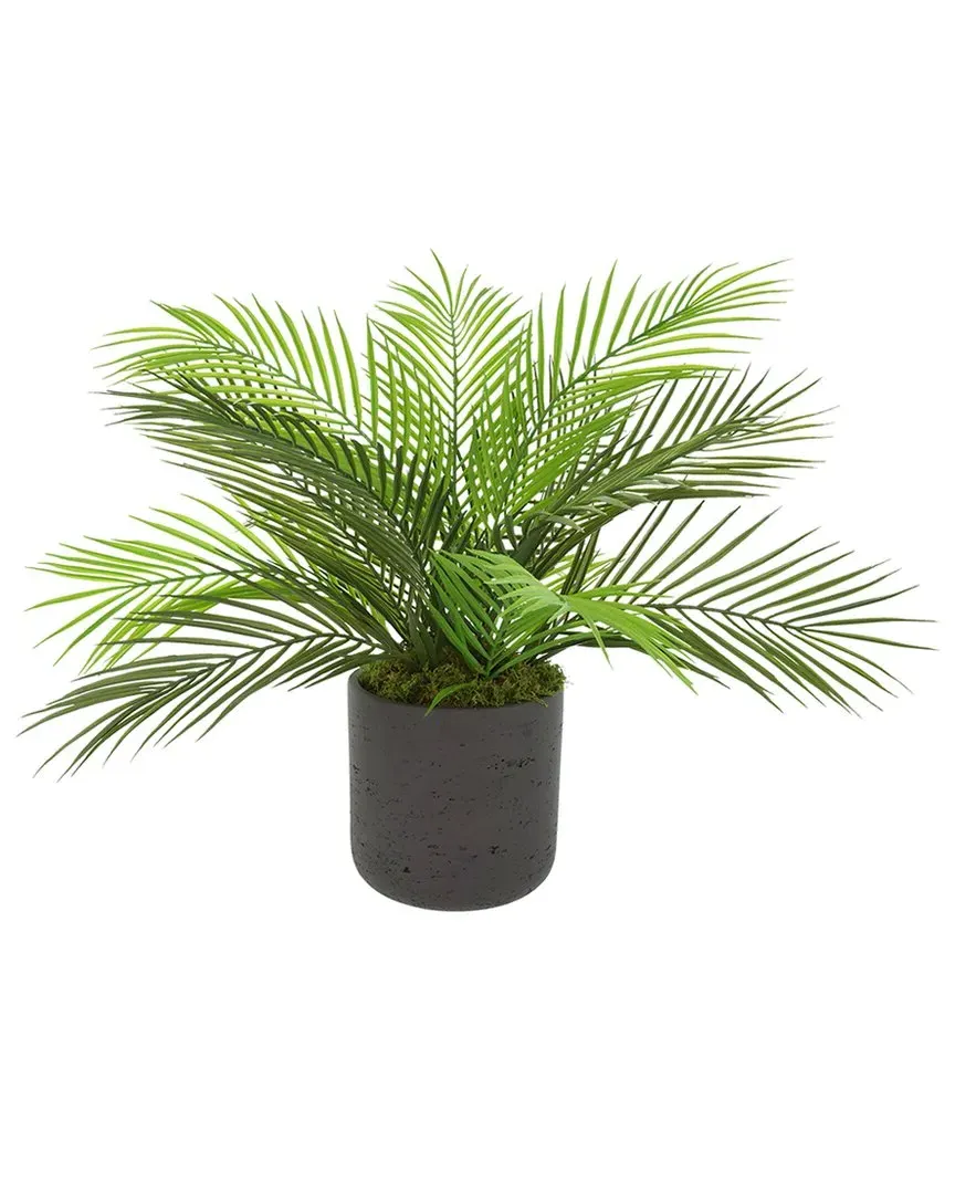 UV-Rated Outdoor Palm in Fiberstone Pot - Green, Black image