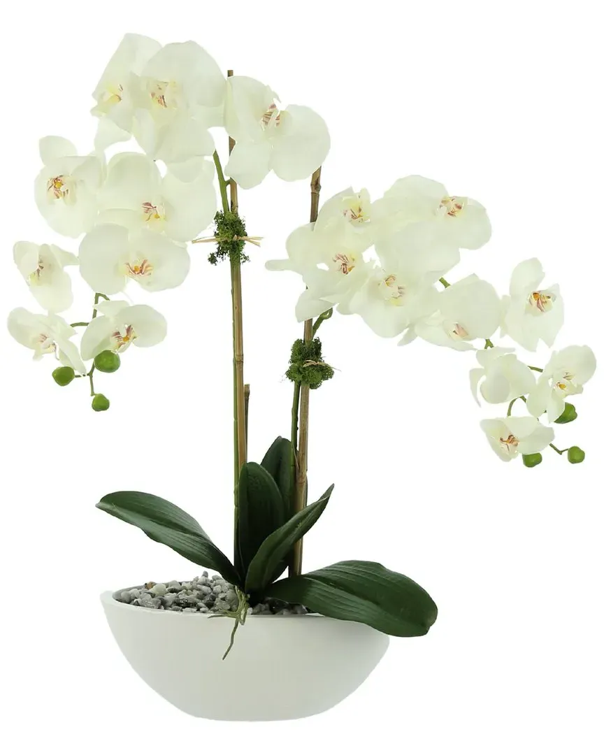 White Orchid Floral Arrangement - White, Ceramic