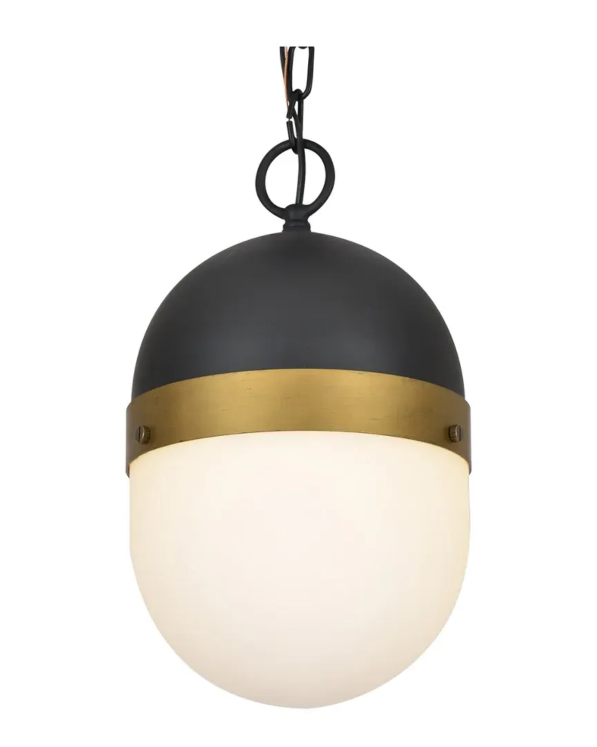 1-Light Capsule Outdoor Pendant - Matte Black, Steel