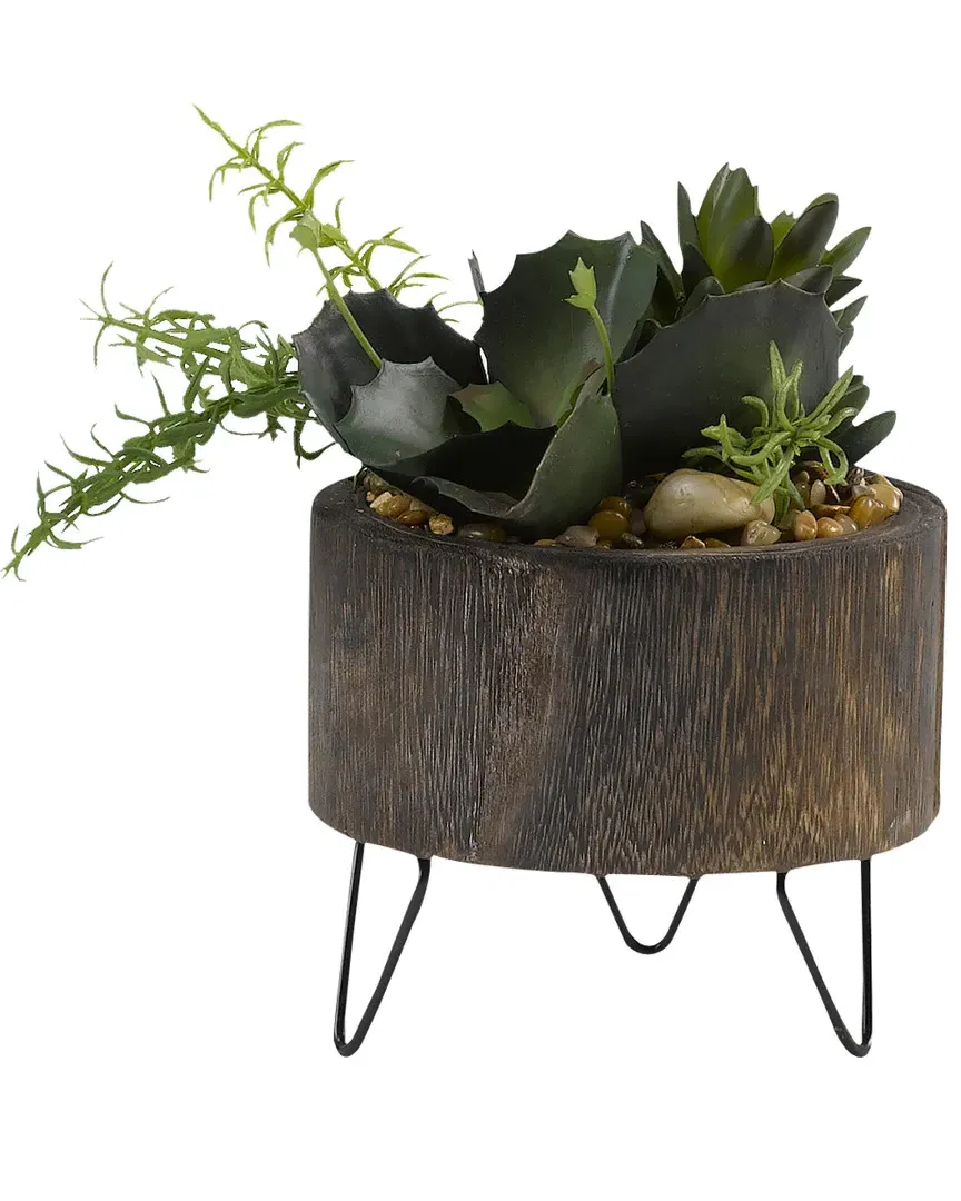 Assorted Succulents in Round Wooden Planter with Wire Legs - Green image
