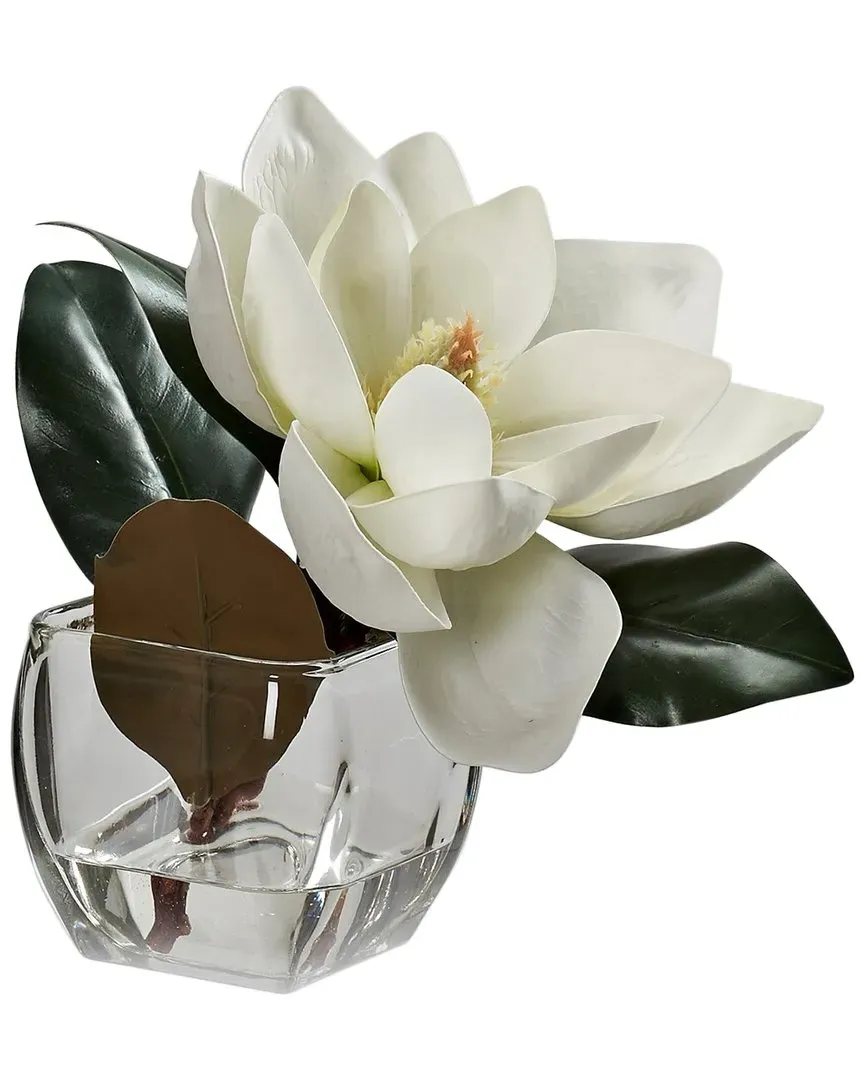 Eva Magnolia Stem in Square Glass Vase - White image