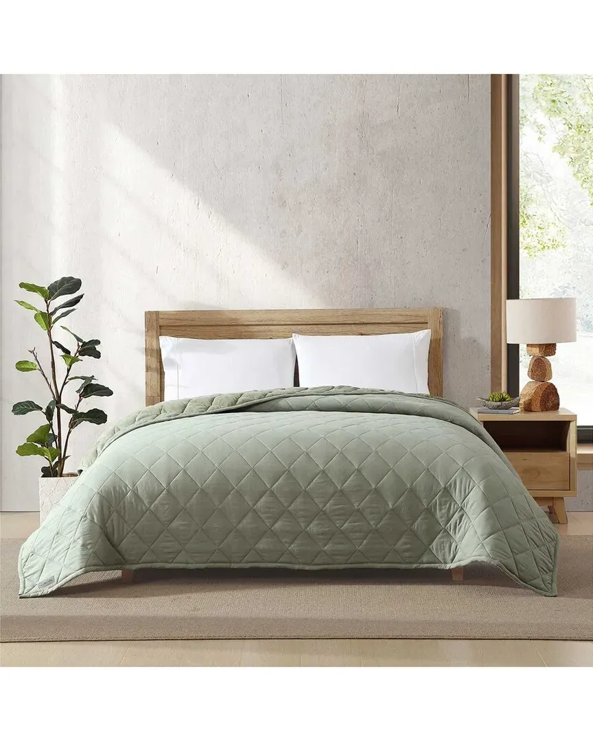 Soft Solid Lightweight Blanket - Seagrass Green, Polyester
