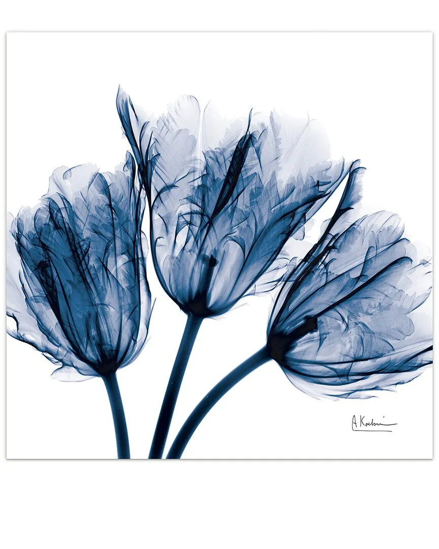 Albert Koetsier Blue Tulip X-Ray Wall Art - Tempered Glass image
