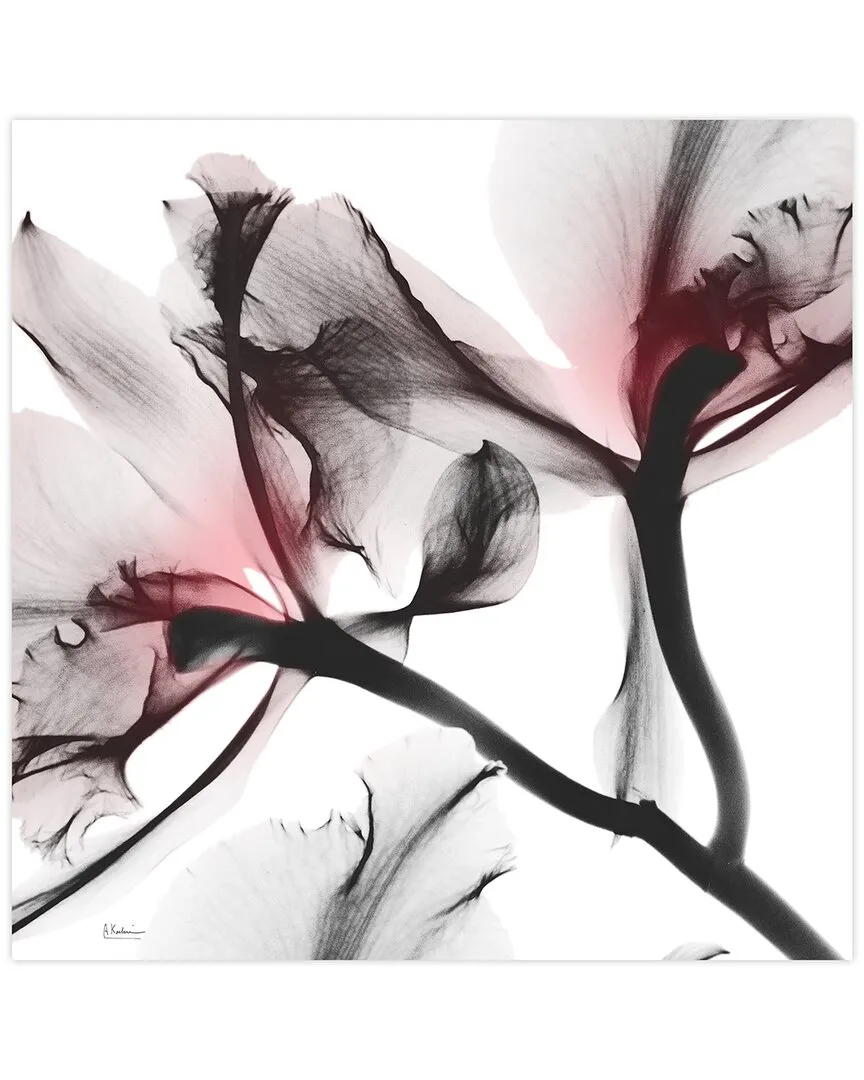Albert Koetsier Coral Luster 2 Wall Art - Tempered Glass image