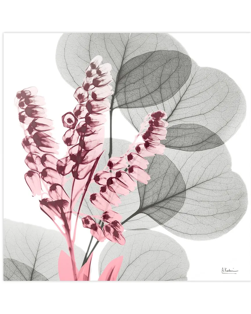 Albert Koetsier Eucalyptus Bush 2 Wall Art - Tempered Glass image