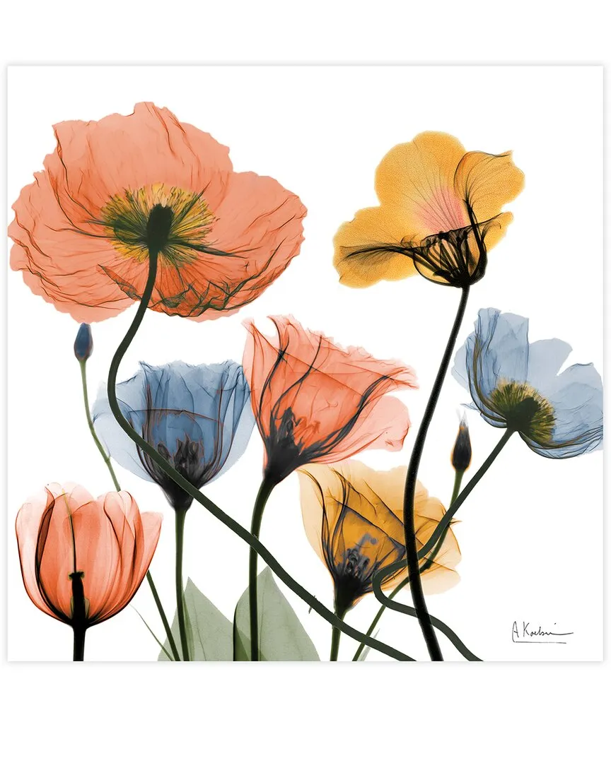 Albert Koetsier Flowers and Ferns Wall Art - Tempered Glass