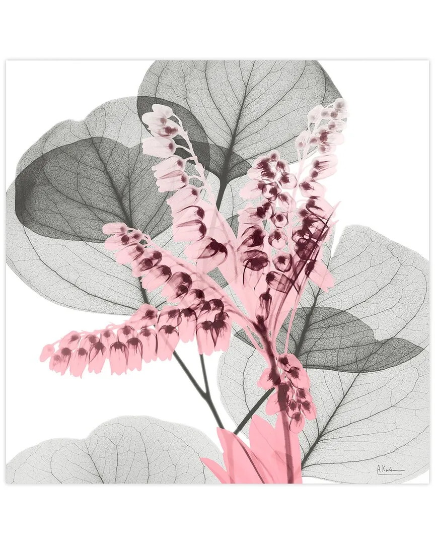 Eucalyptus Bush 1 by Albert Koetsier Tempered Glass Wall Art image