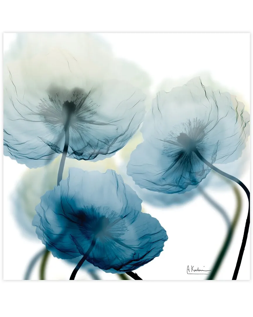 Unfocused Beauty 1 by Albert Koetsier Tempered Glass Wall Art image