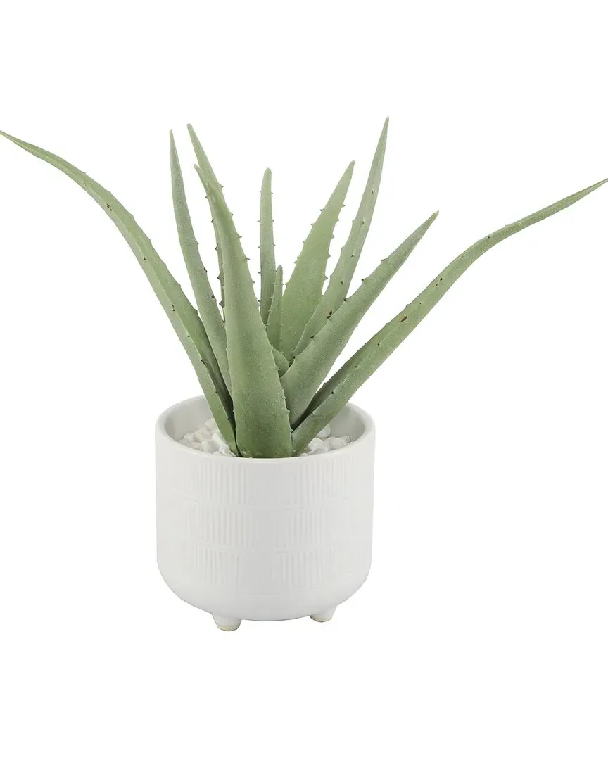 10in Aloe Plant in Footed Ceramic Planter - White image