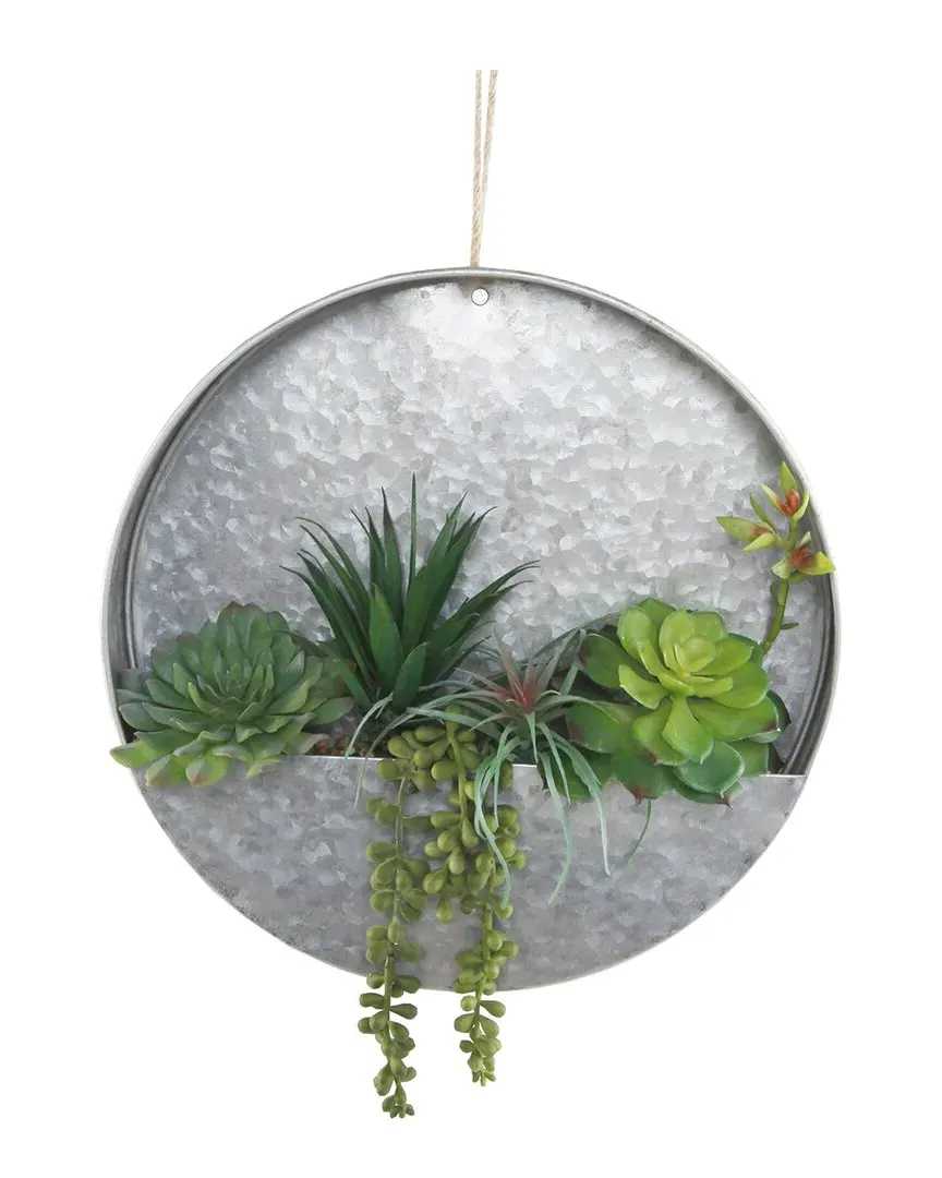 12in Galvanized Hanging Planter with Strings of Pearl - Gray image