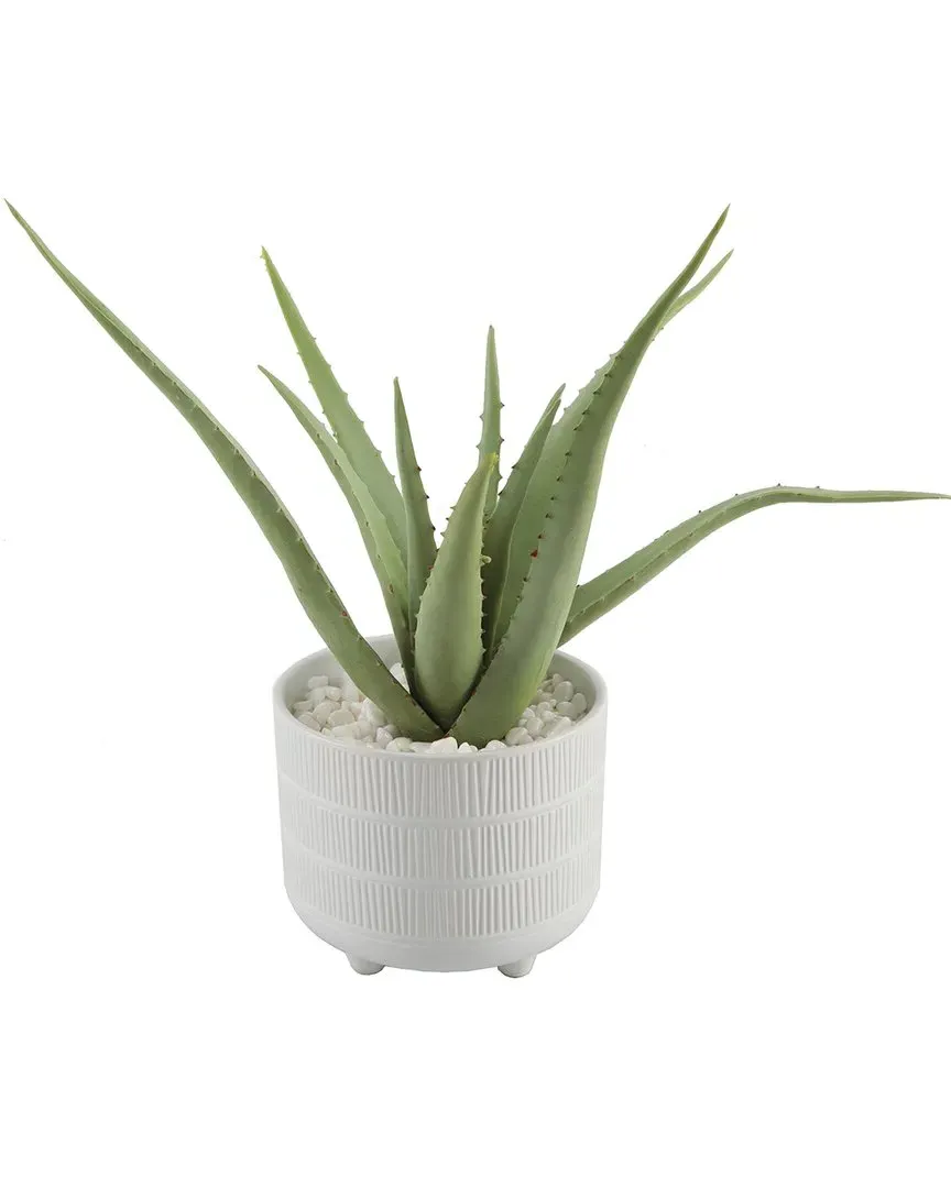 14in Aloe Plant in Footed Ceramic Planter - White