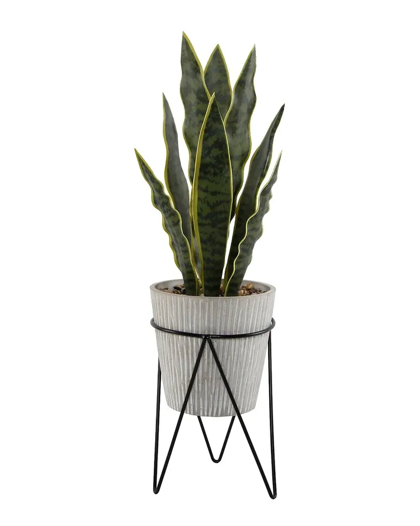 1.8ft Snake Plant in Cement Pot on Metal Stand - Gray