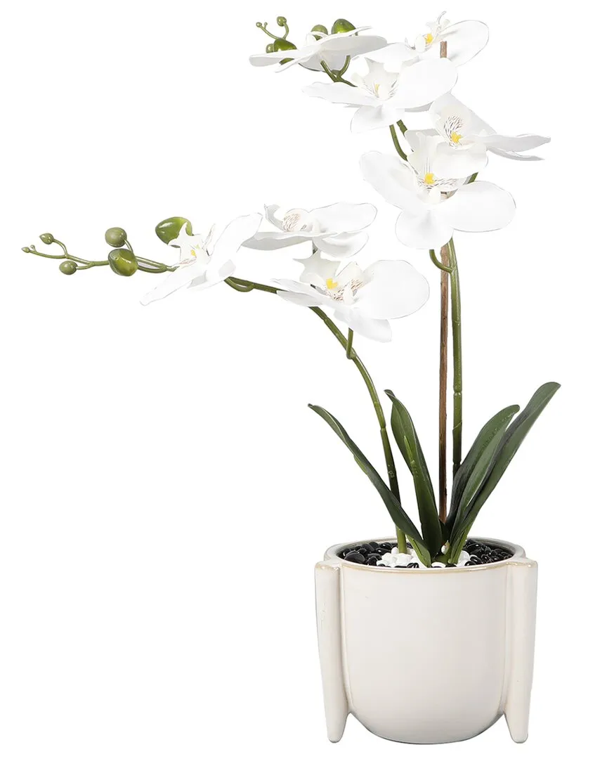 18in Real-Touch Orchids in Ceramic Planter - Ivory image