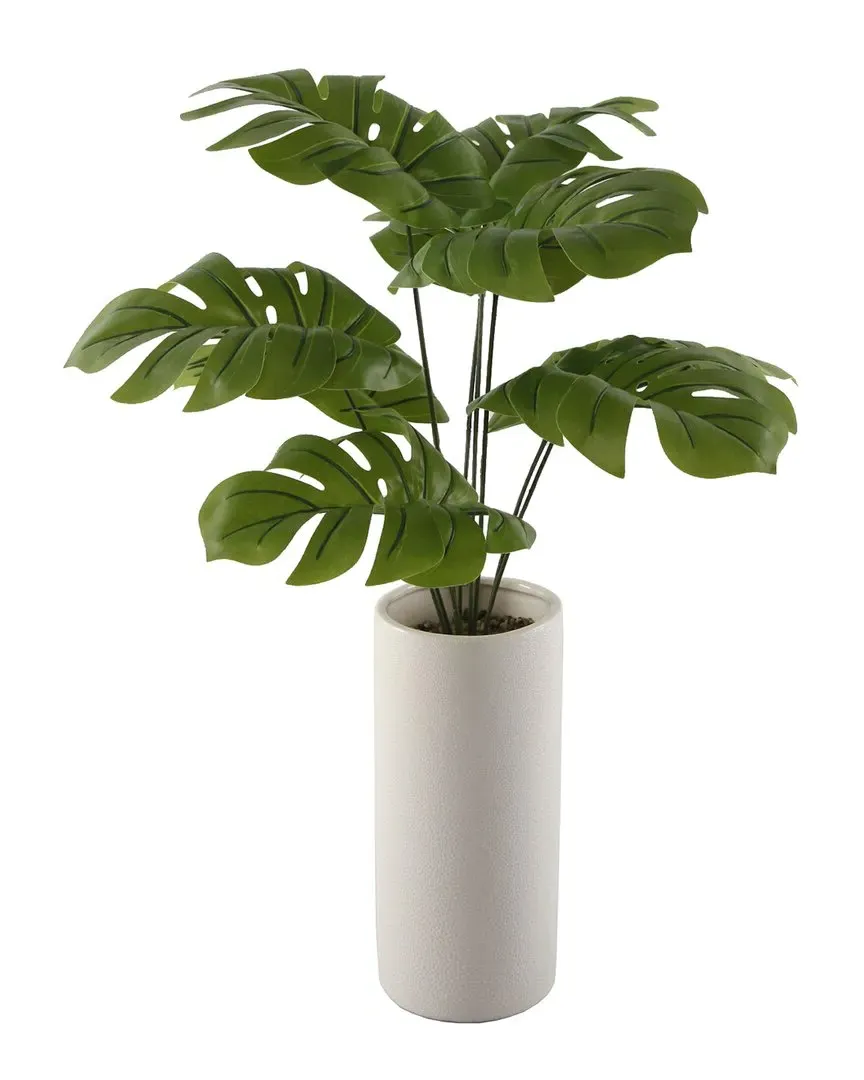 24in Palm in Textured Ceramic Vase - Cream image