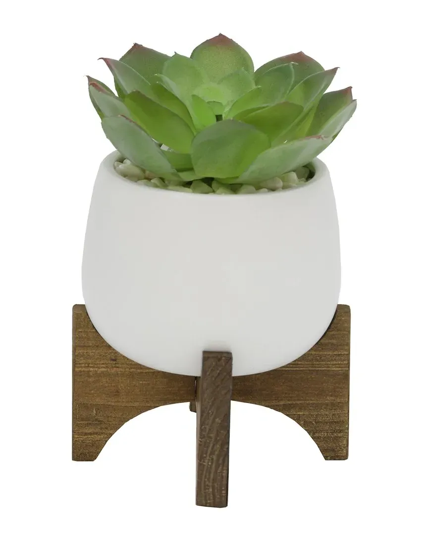 4.5in Succulent Planter with Wood Stand - White, Ceramic image
