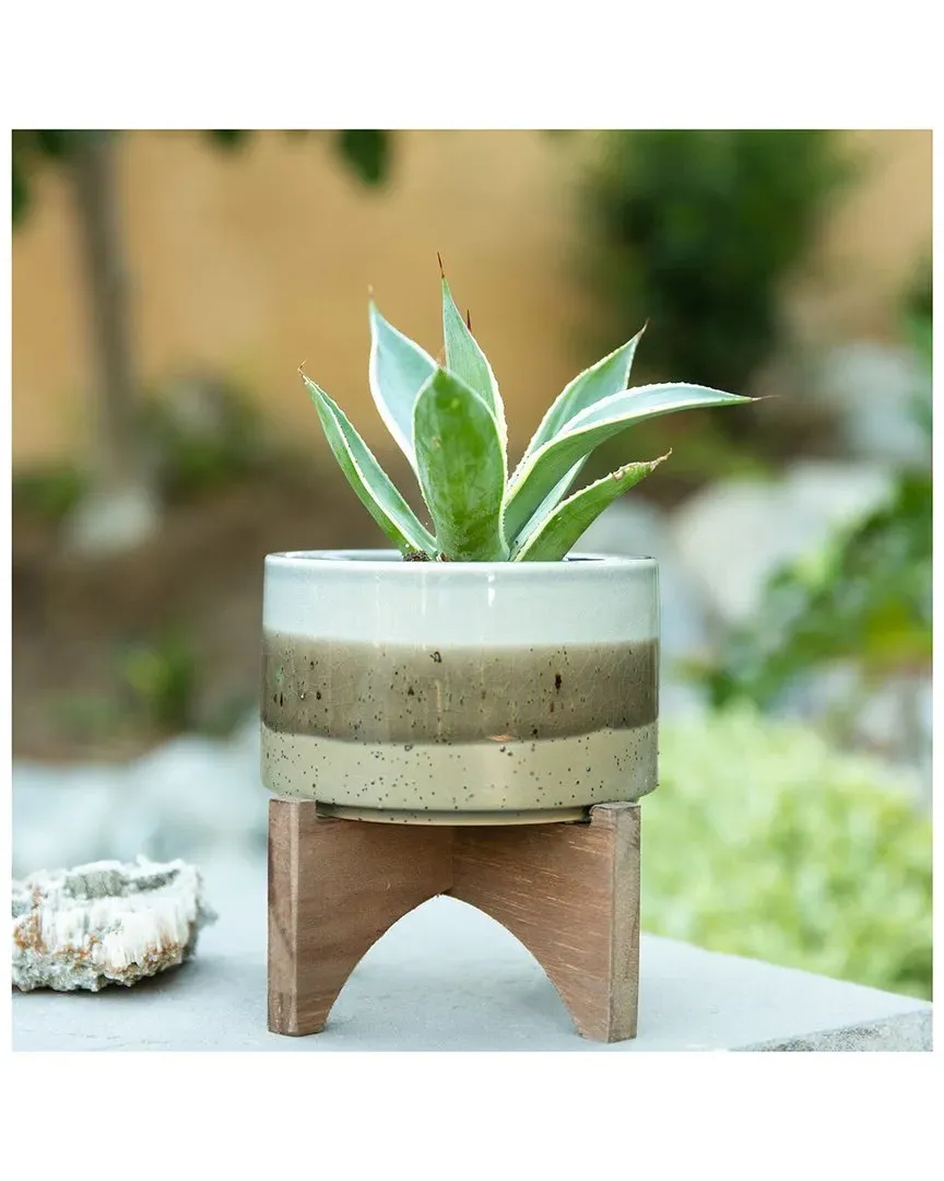 5in Ceramic Planter on Wood Stand - Grey, Ash Finish image