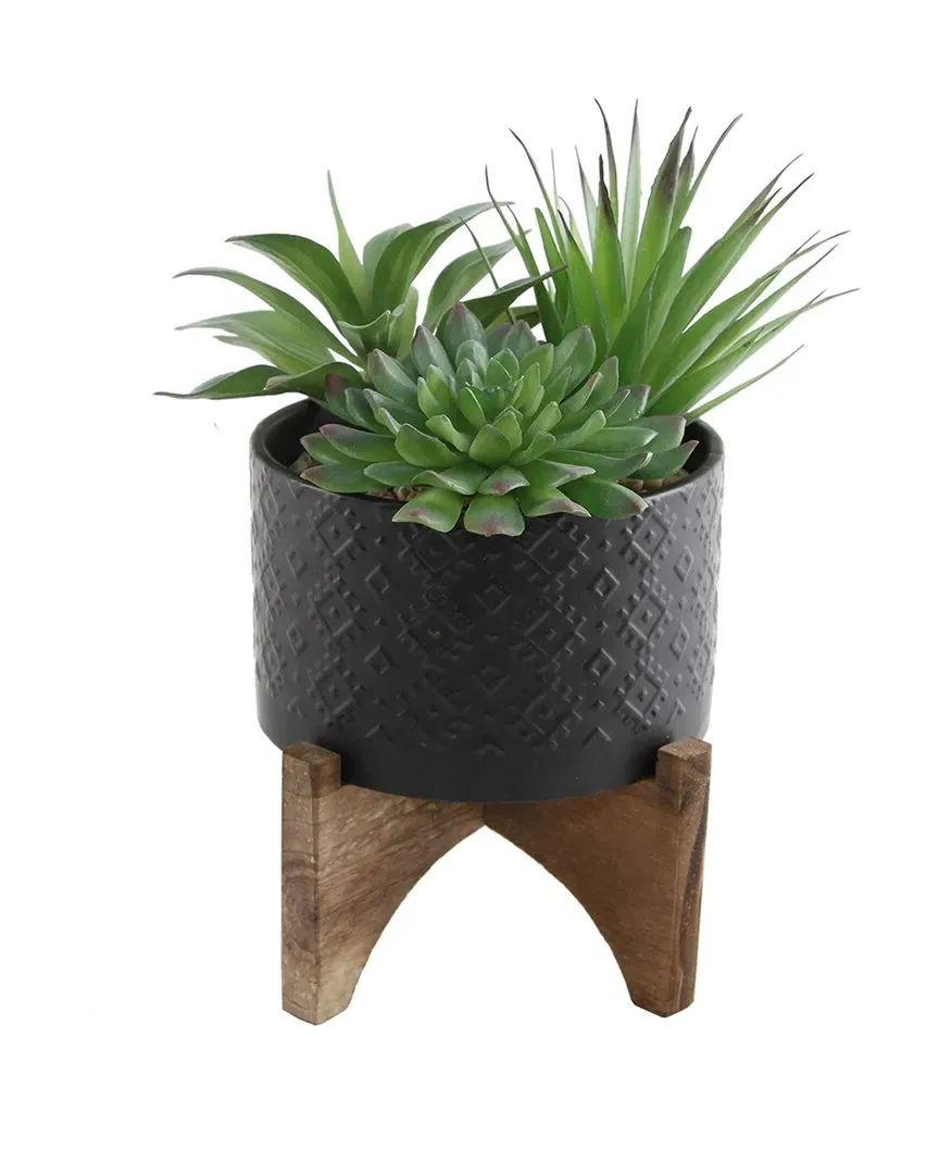 5in Succulent Planter with Wood Stand - Black, Ceramic