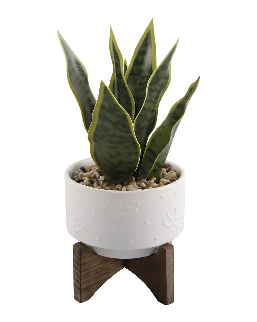 9.7in Snake Plant in Ceramic Pot on Wood Stand - White image