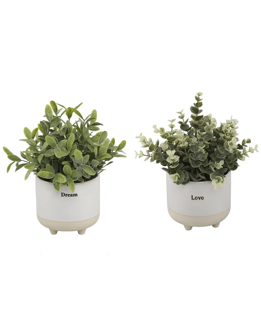 Euc + Tea Leaf Ceramic Footed Planter Set - White