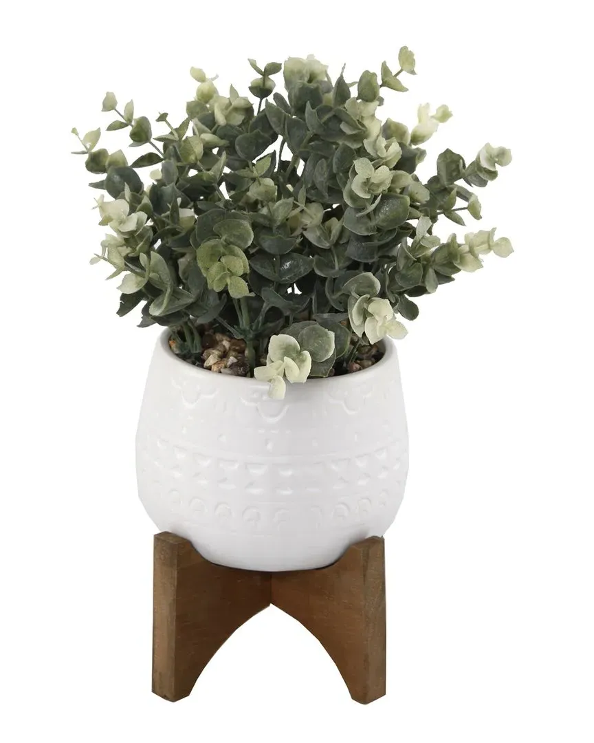Eucalyptus in 5in Ceramic Pot on Wood Stand - White