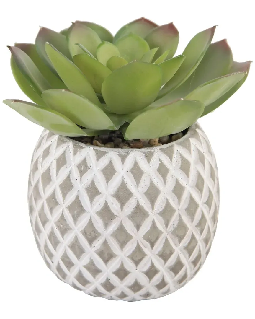 Faux Succulent in Cement Pineapple Planter - Grey image
