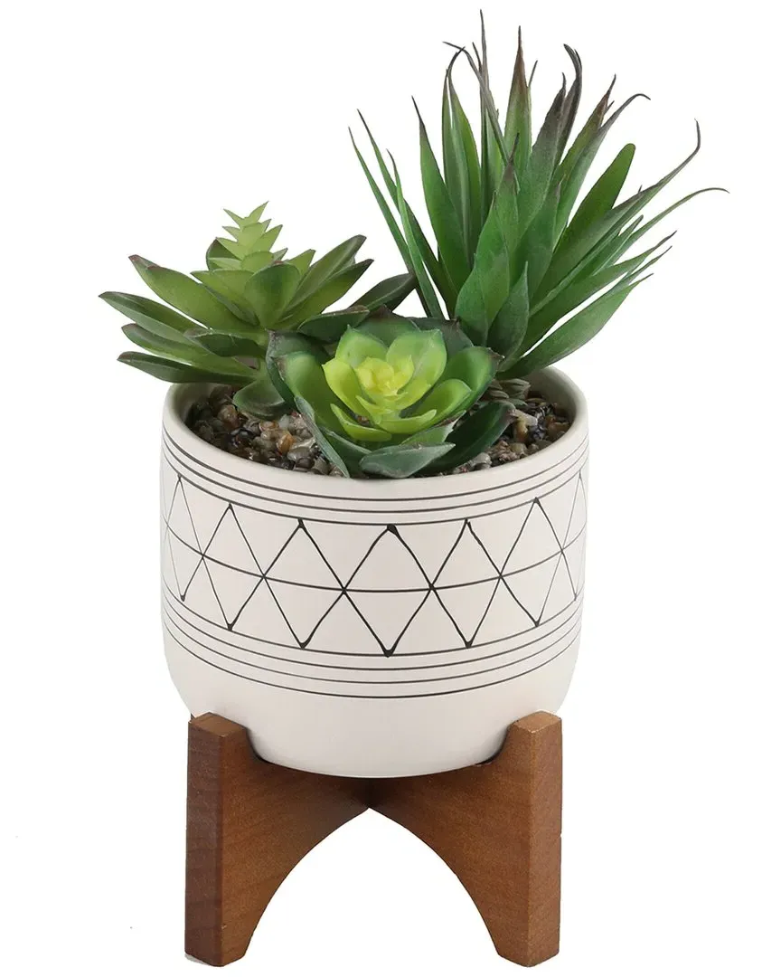 Faux Succulents in Ceramic Footed Stand - White image