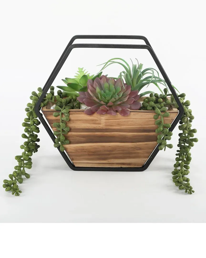 Hexagon Succulent Wall Pocket - Brown, Wood image
