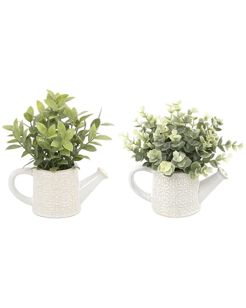 Set of 2 Eucalyptus & Tea Leaves in Cathedral Watering Cans - Ivory