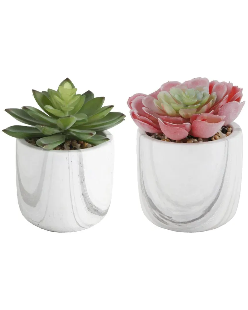 Set of 2 Succulents in Marble Pots - White