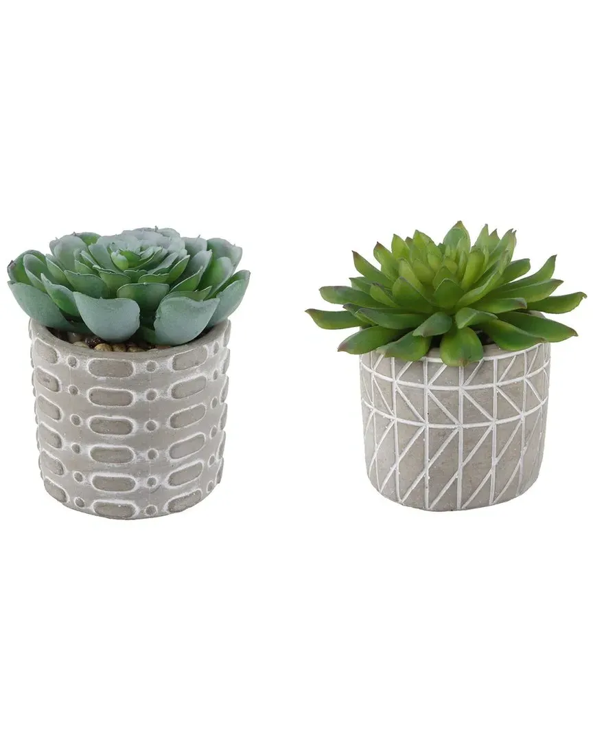 Set of 2 Succulents in Pattern Cement Pots - Gray image
