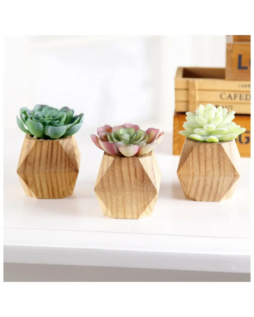 Set of 3 Faux Succulent in Wood Pot - Brown