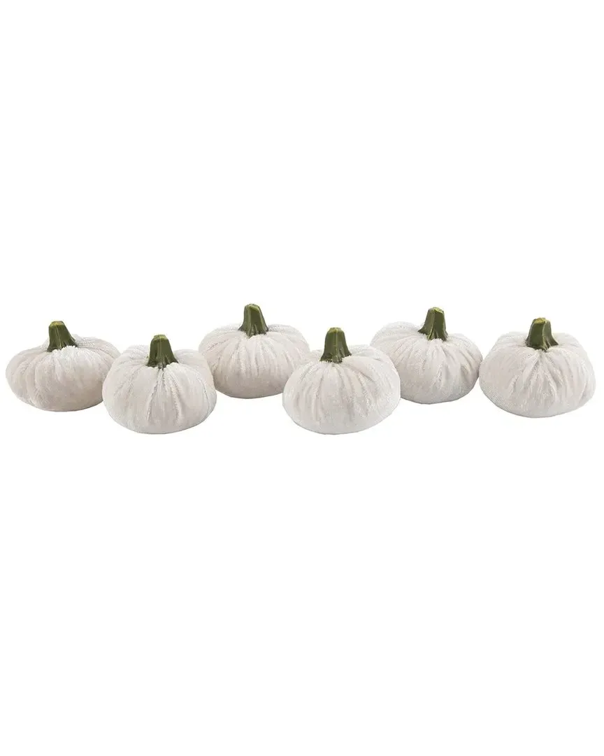 Set of 6 Small Velvet Pumpkins in Box - Cream image