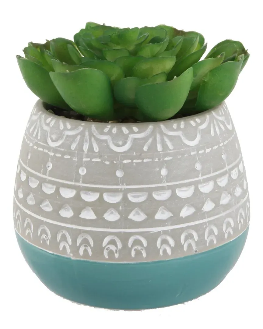 Succulent in 2 Tone Mayan Ceramic Pot - Teal image