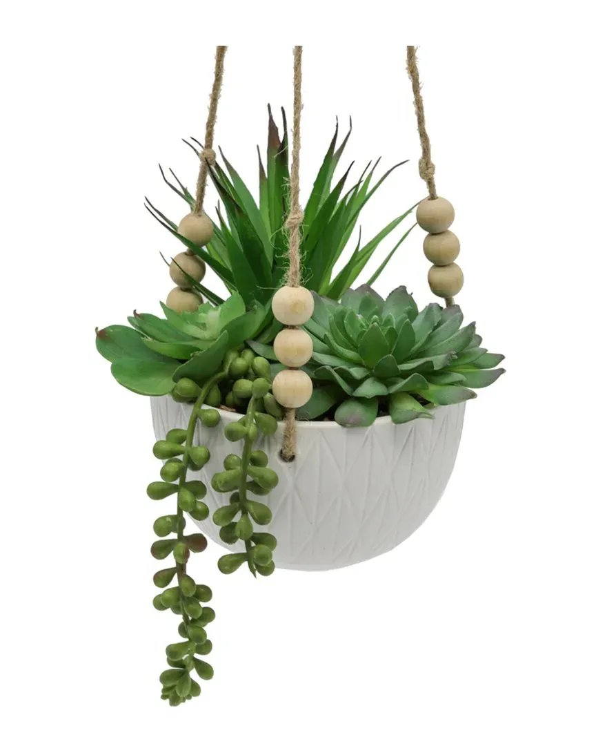 Succulent Mix in Ceramic Hanging Planter - White